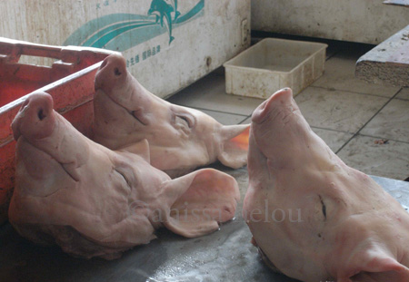 china-pigs' heads copy